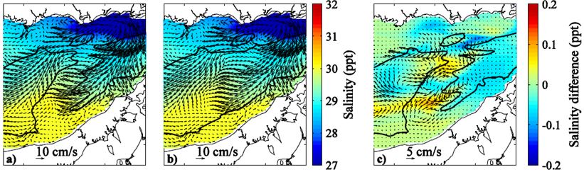 Surface salinities (shading) and tidal-averaged flow (arrows) for simulations (a) with Mattituck Sill and (b) without the sill.  The difference fields (c) indicates over the sill there are clockwise circulations and somewhat saltier water. 