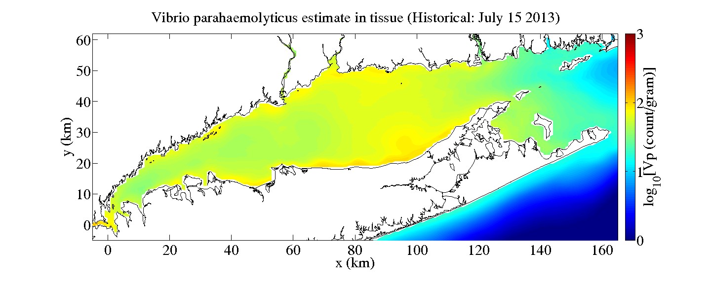 Preliminary historical estimate for Vibrio parahaemolyticus (Vp) counts in pre-harvest oyster tissue calculated using the FDA Quantitative Risk Assessment with bottom temperature and salinity estimates as inputs.